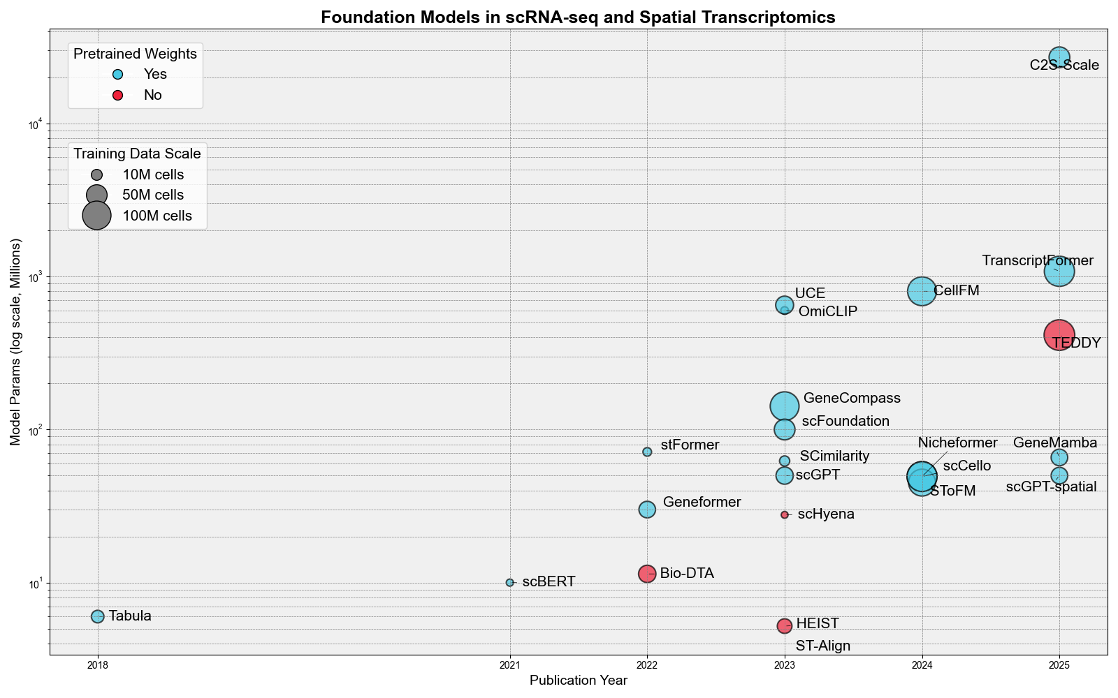 Foundation Models Scale Analysis